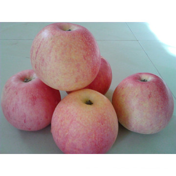 Quanlity alta Qinguan fresco Apple